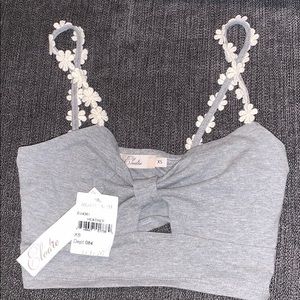 Daisy rimmed Crop